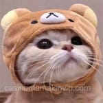 Avatar de Camilo Acosta